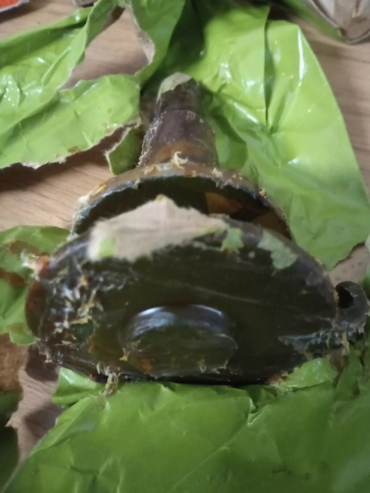 Austin Champ Shock Absorber Pin Top Complete FV15605